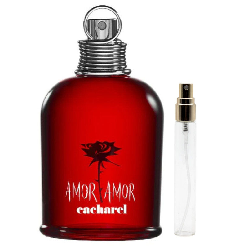 AMOR AMOR CASHAREL